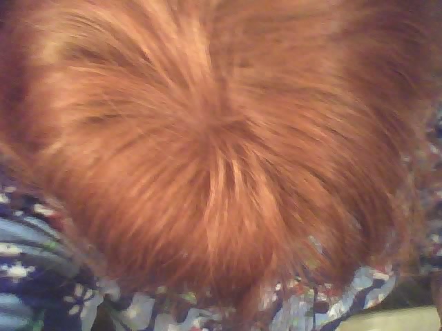 have the worst orange hair